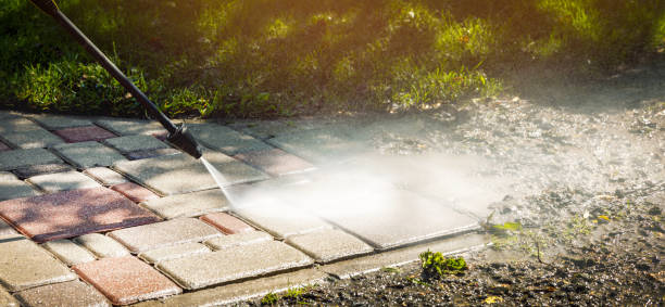 Best Roof Washing  in Locust Valley, NY